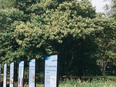 -国家植物园南园