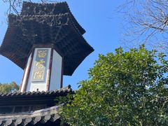 -上海佘山国家森林公园天马山园