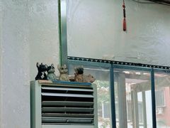 -聚福缘菜馆(隆昌路店)