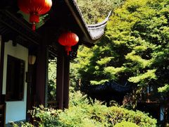 -十八棵（老龙井）御茶园(老龙井店)