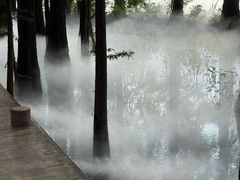 -东湖落雁景区