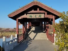 -上海海湾国家森林公园