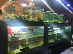 -真浪花园海鲜餐馆