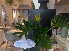 -春树下·树屋花房西餐厅(罍街AS1980店)