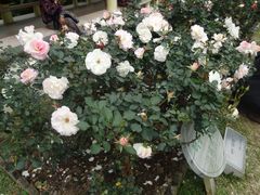 -人民公园(罗湖区)