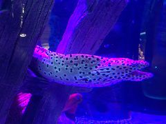 -沈阳海洋探索中心