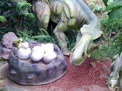 -呀路古热带植物园