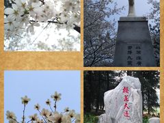 -武汉大学-樱园