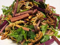 香麻野蕨菜-九十九顶毡房(阜石路店)