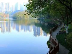 -重庆彩云湖湿地公园