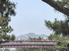 -幸福门