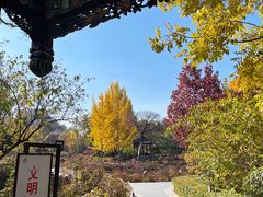 -迎泽公园