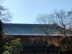 -灵谷景区