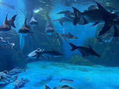 -多彩贵州城极地海洋世界