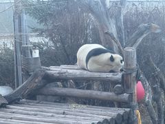 -青藏高原野生动物园