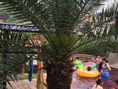 -咸宁万豪温泉谷度假区