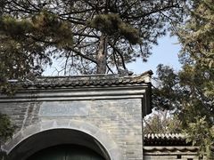 -香山公园