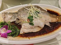 -东北大院·东北菜(三台子店)