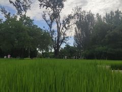 -北坞公园