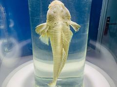 -福州罗源湾海洋世界旅游区