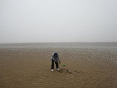 -刘家湾赶海园