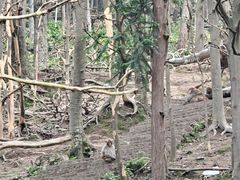 -黔灵山公园