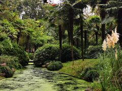 -柳莺湖上·湖景餐厅·江南菜(西湖店)