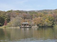 -紫霞湖公园