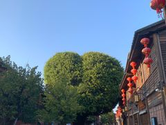 -三坊七巷历史文化街区