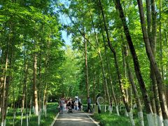 -桤木河湿地公园