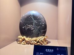 -中华赏石园