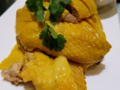 白斩散养草鸡-红城阁·上海味道(四平路店)