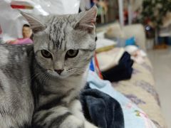 -贝康宠物医院·犬猫全科·小动物特色诊疗中心(东环路店)