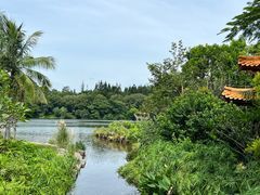 -深圳仙湖植物园
