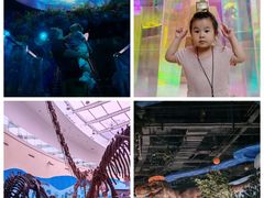 -陕西自然博物馆