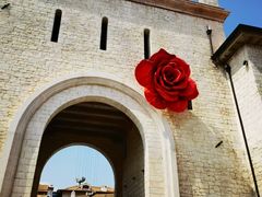 -华谊兄弟（长沙）电影小镇