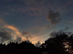 -广西大学(大学东路校区)