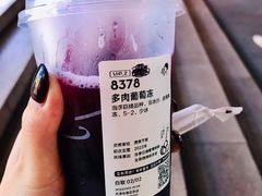 多肉葡萄-喜茶(天津乐宾百货店)