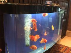 -北京西单美爵酒店