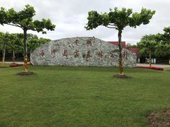 -上海海湾国家森林公园