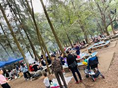 -南宁良凤江国家森林公园