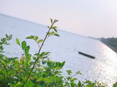 -贡湖湾湿地公园