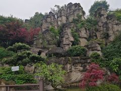 -老幺泉水鸡