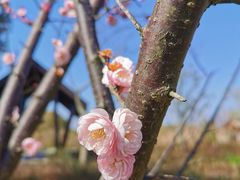 -广富林郊野公园