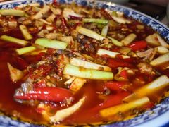 -院8里·小聚园老川菜(九眼桥店)