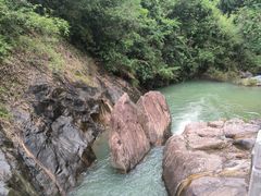 -广州白江湖森林公园