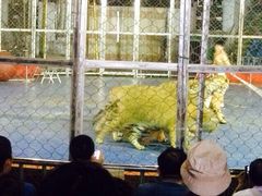 秦岭野生动物园-西安秦岭野生动物园