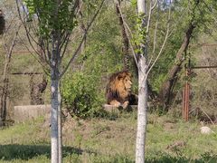 -沈阳森林动物园