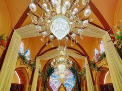 -叶叶菩提(太原别墅店)