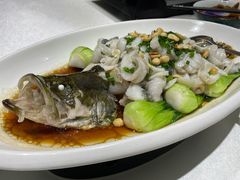 -最高台(亳州路店)